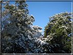 foto Parco Sebellin in Inverno